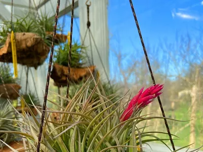 Galerie photos